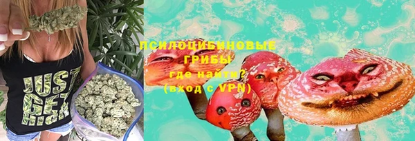 СК Сатка