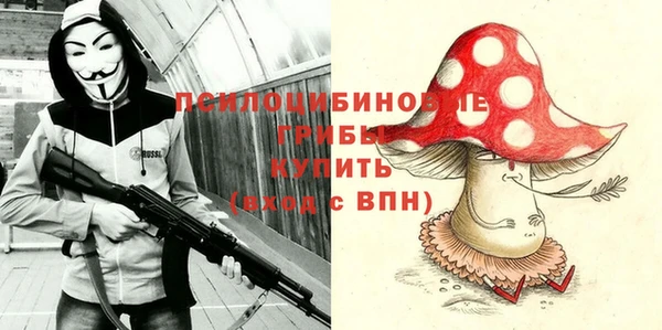 соль ск Волосово