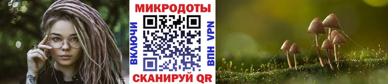 Псилоцибиновые грибы ЛСД Гаврилов-Ям
